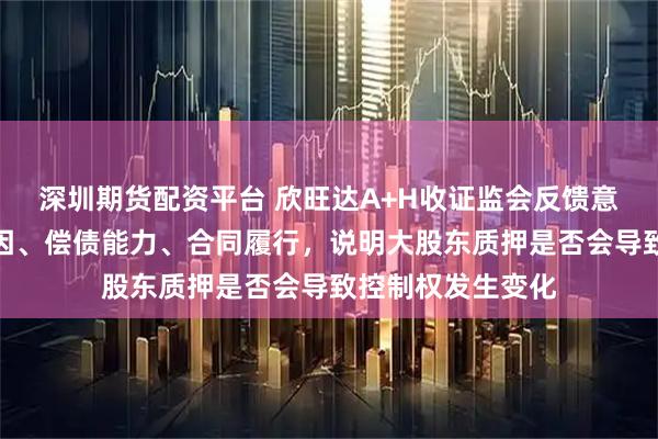 深圳期货配资平台 欣旺达A+H收证监会反馈意见：结合质押原因、偿债能力、合同履行，说明大股东质押是否会导致控制权发生变化
