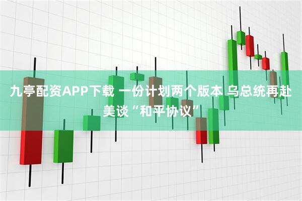 九亭配资APP下载 一份计划两个版本 乌总统再赴美谈“和平协议”